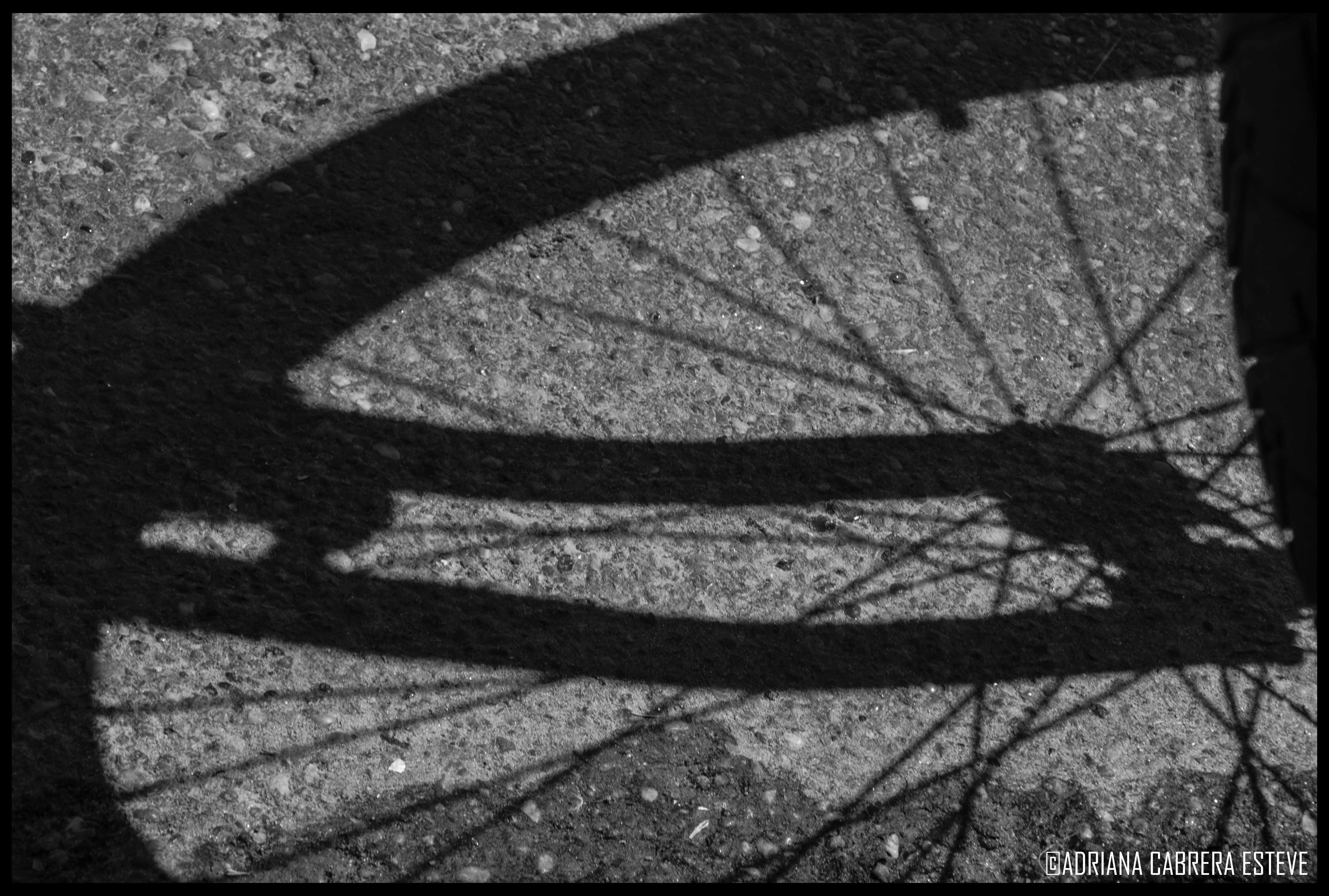 Día de bici