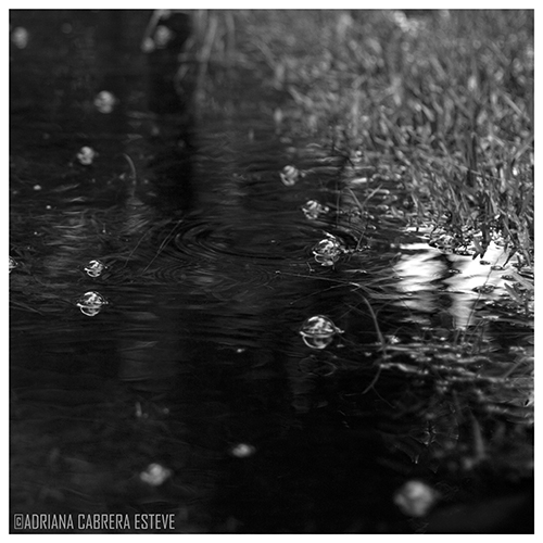 Lluvias 2016