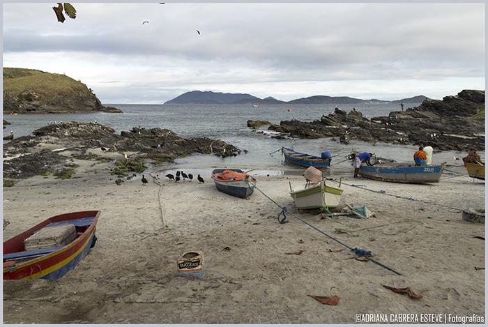Cabo Frío pesca V